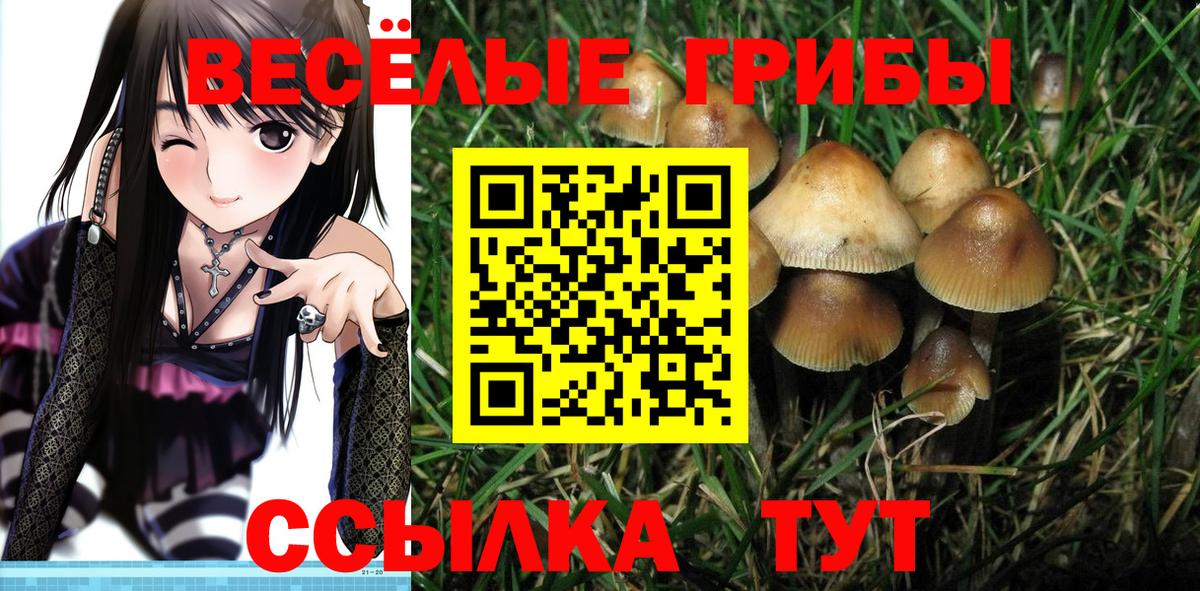 Псилоцибиновые грибы GOLDEN TEACHER  Вход с VPN  Асбест 